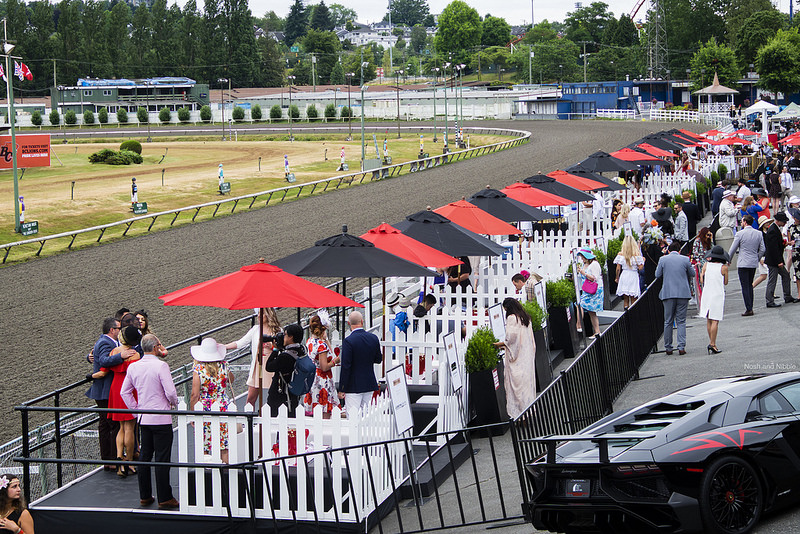 Main Viewing Area