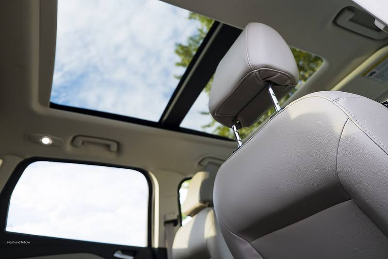 Twin Panel Moonroof