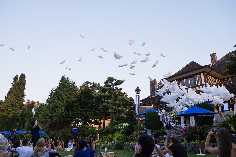 Grey Goose Balloon Release