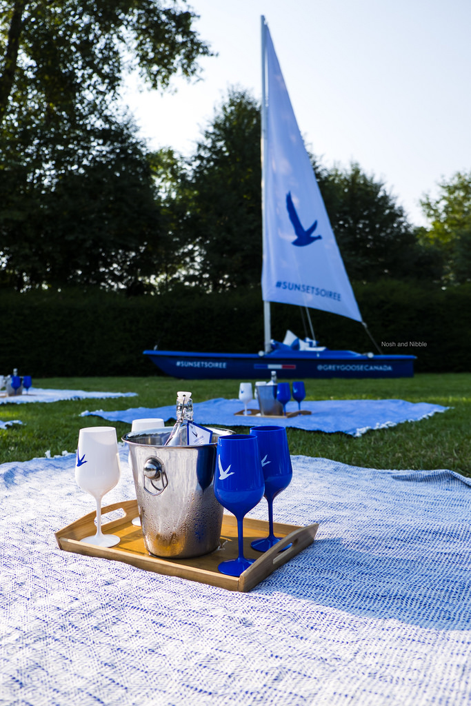 Grey Goose Picnic Blankets