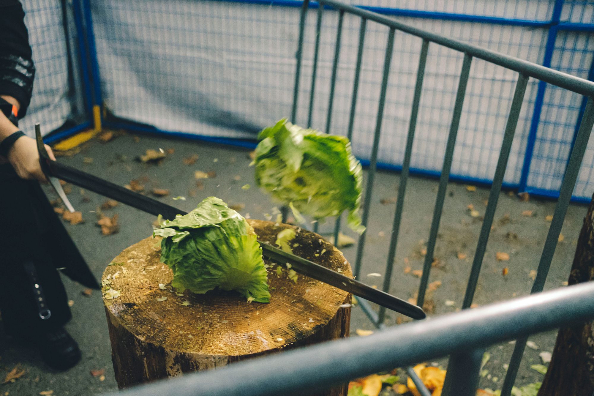 Lettuce-Cutting