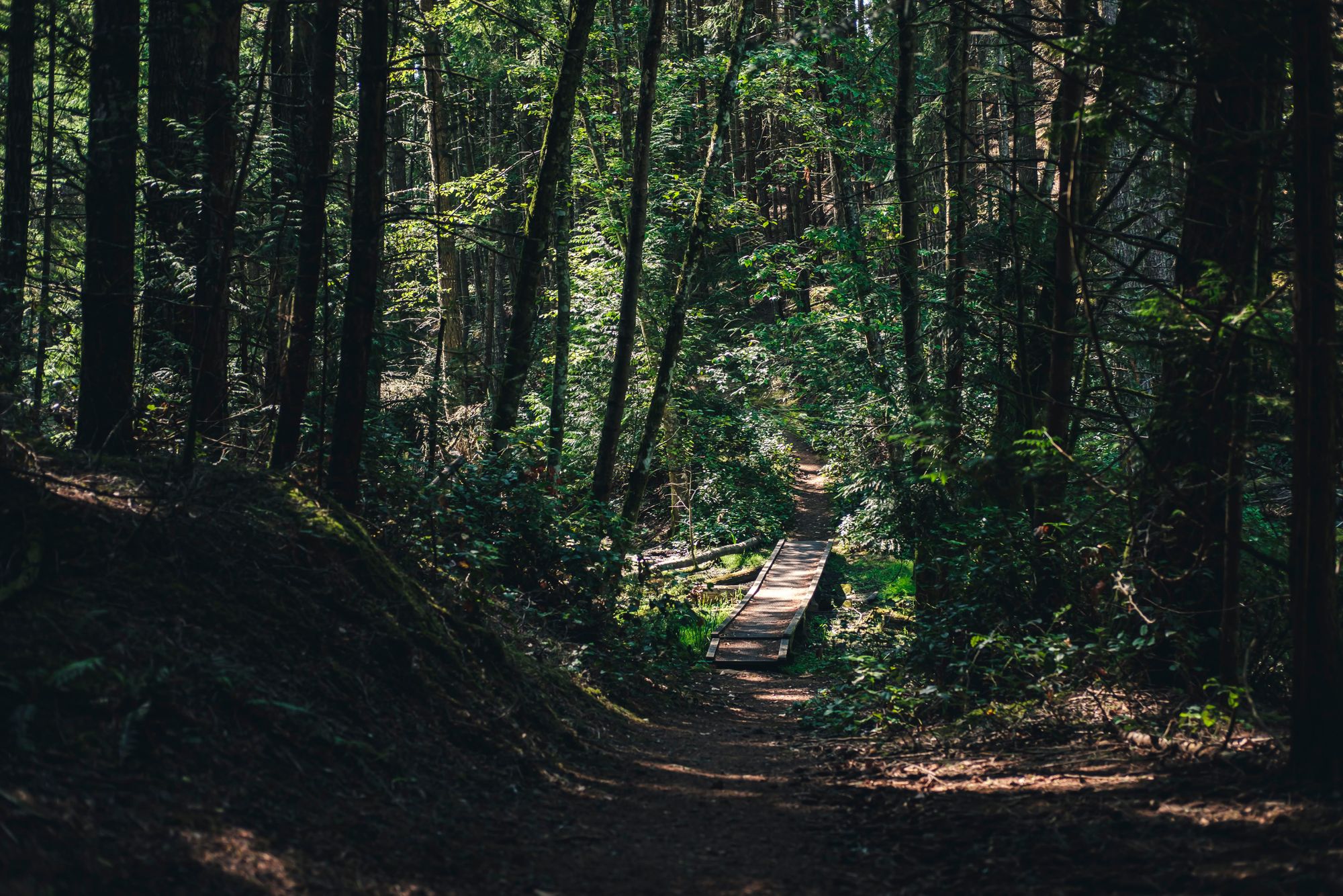 Roe Lake Hike – Trail Around the Lake