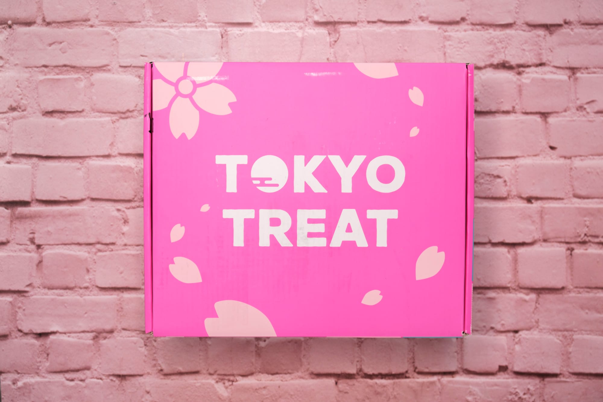 Sakuraco and TokyoTreat [OVERVIEW] – Cherry Blossom-Themed Japanese Snack Boxes for March 2024