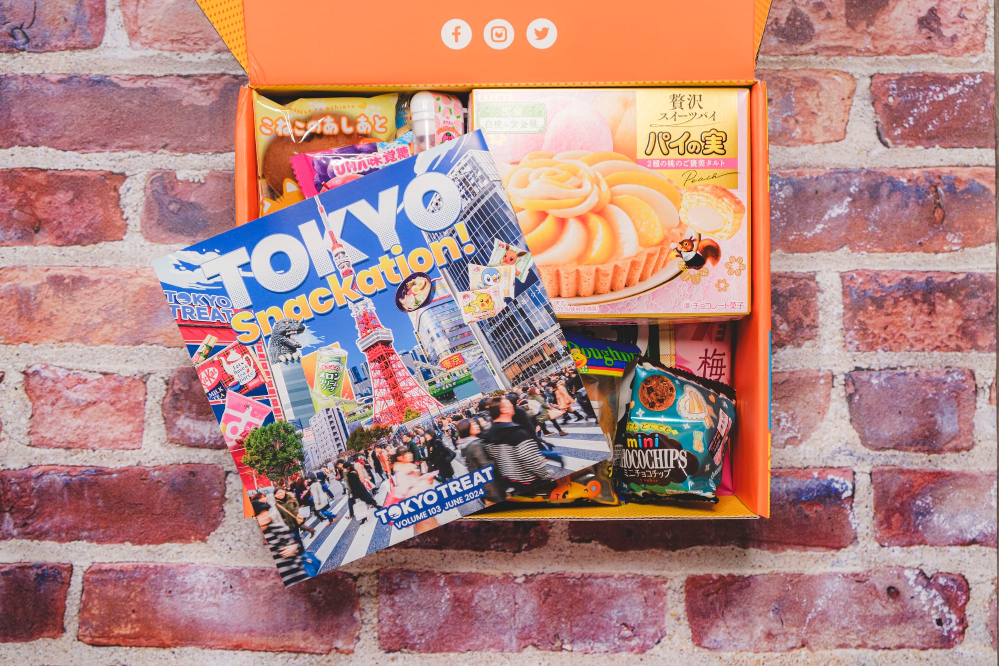 Sakuraco and TokyoTreat [OVERVIEW] – Japanese Snack Boxes for June 2024