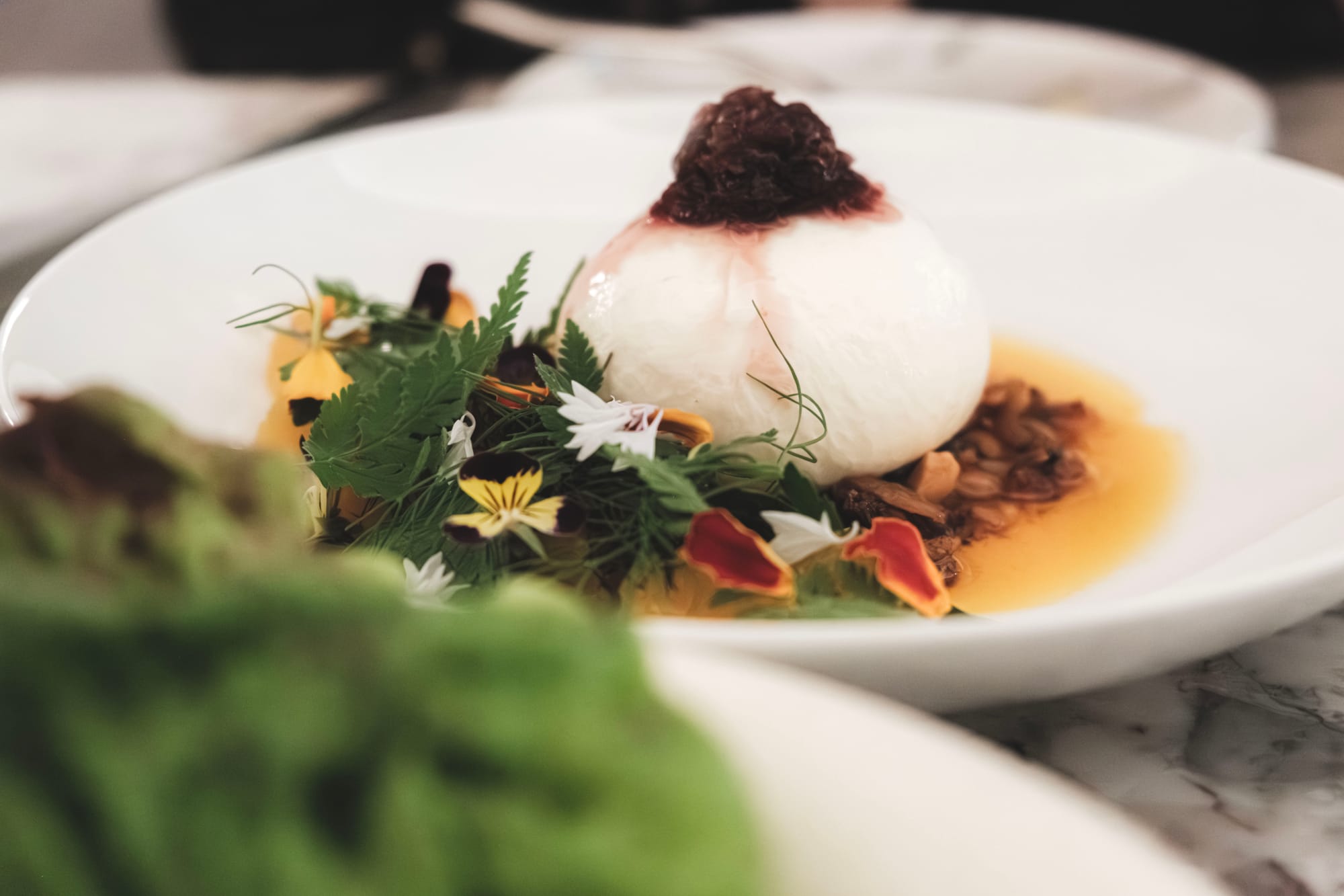 Elem [REVIEW] – Sensational Tasting Menu in Vancouver that Feels Like a Michelin-Bound Experience