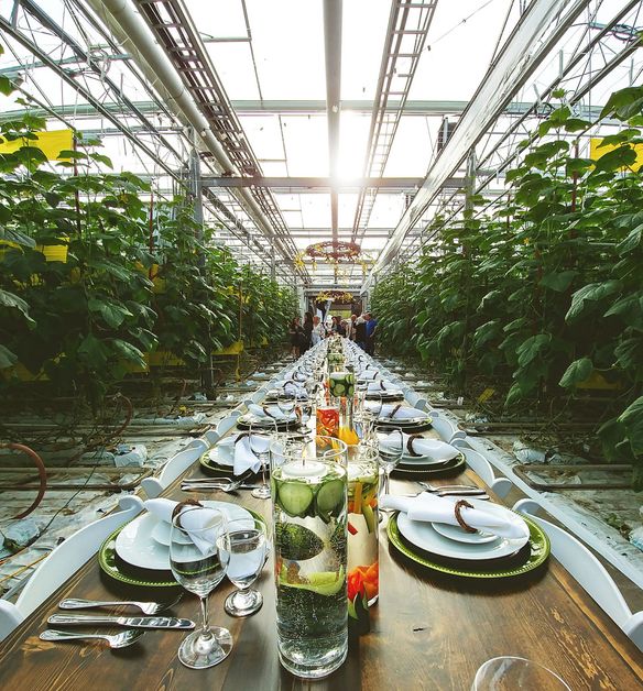 Celebrating Greenhouses – BC Veggie Days Longtable Dinner in Langley [RECAP]